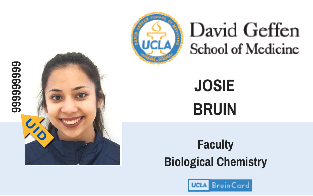 How To Locate Your University ID Number Business Finance Solutions