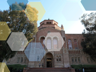 Looking up at Powell Library.